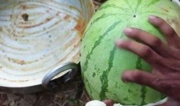 有吃瓜视频的网红有哪些,揭秘热门视频背后的故事